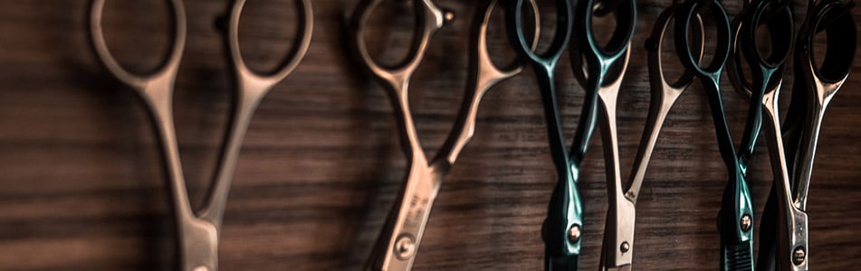 hair dressing scissors